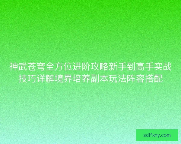 神武苍穹全方位进阶攻略新手到高手实战技巧详解境界培养副本玩法阵容搭配